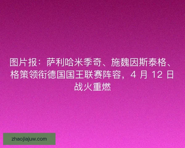 图片报：萨利哈米季奇、施魏因斯泰格、格策领衔德国国王联赛阵容，4 月 12 日战火重燃