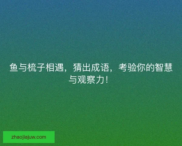 鱼与梳子相遇，猜出成语，考验你的智慧与观察力！