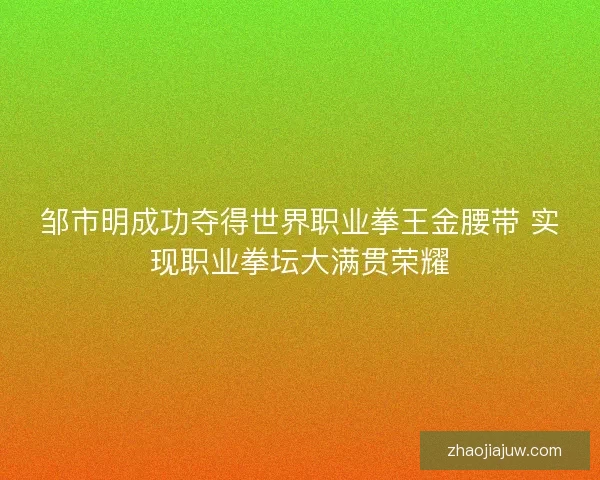 邹市明成功夺得世界职业拳王金腰带 实现职业拳坛大满贯荣耀 邹市明成功夺得世界职业拳王金腰带 实现职业拳坛大满贯荣耀
