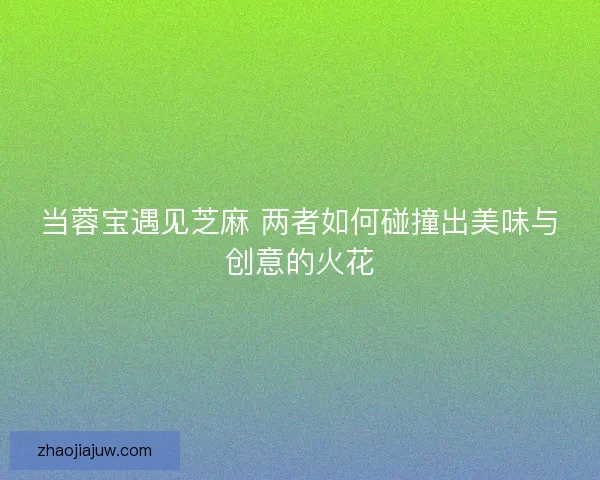 当蓉宝遇见芝麻 两者如何碰撞出美味与创意的火花