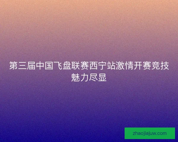 第三届中国飞盘联赛西宁站激情开赛竞技魅力尽显 第三届中国飞盘联赛西宁站激情开赛竞技魅力尽显