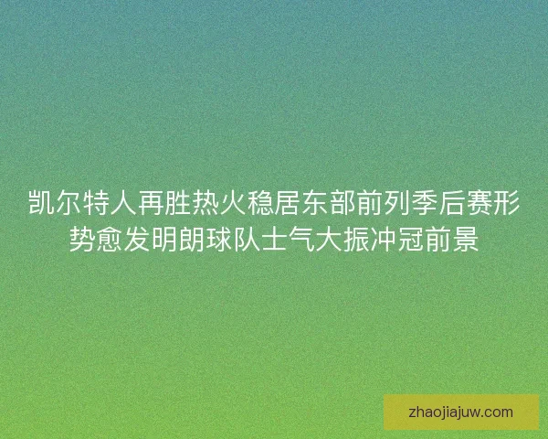 凯尔特人再胜热火稳居东部前列季后赛形势愈发明朗球队士气大振冲冠前景
